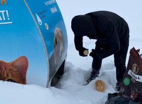 MUCUR BELEDİYESİ SOKAK HAYVANLARINI UNUTMADI