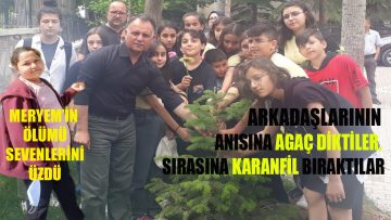 ÖLEN ARKADAŞLARI İÇİN ÇAM AĞACI DİKİP KARANFİL BIRAKTILAR
