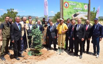 ÇEVRE HAFTASINDA FİDAN DİKİMİ