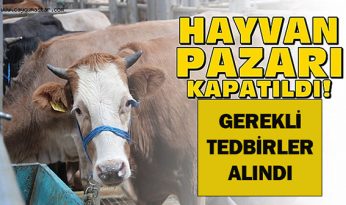 KIRŞEHİR CANLI HAYVAN PAZARI ŞAP HASTALIĞI NEDENİYLE KAPATILDI