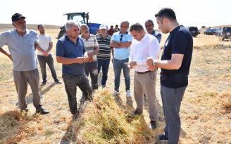 VALİ BUHARA HASADA KATILDI